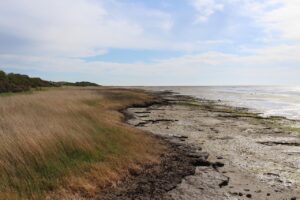 Puglia te voet: de hak van de laars is een verrassend wandelgebied