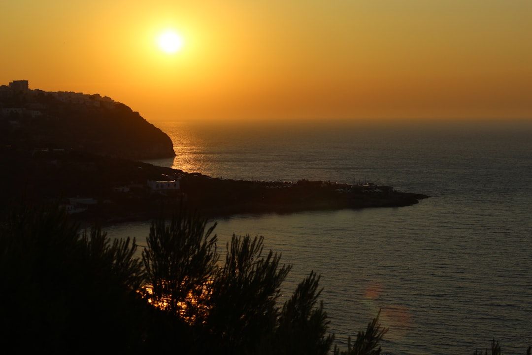 Gargano: ruig, groen en totaal anders dan Zuid-Puglia