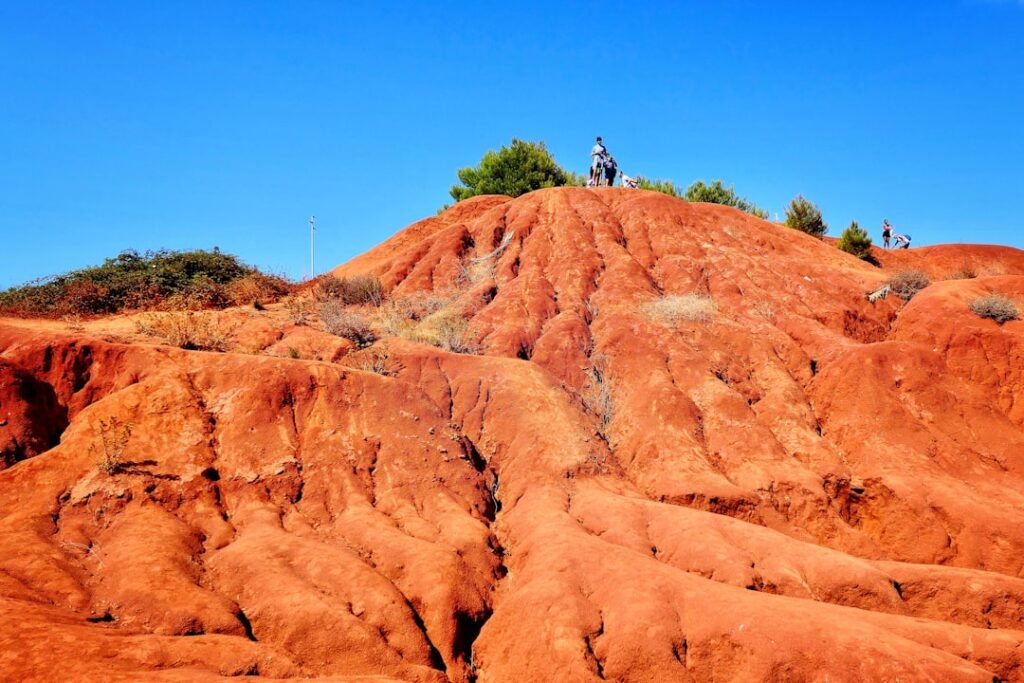 Torre Guaceto: natuurstrand voor wie Puglia rustig wil beleven